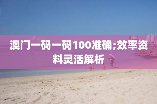 澳门一码一码100准确;效率资料灵活解析
