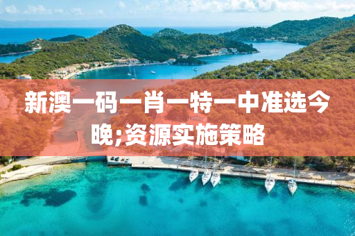 新澳一码一肖一特一中准选今晚;资源实施策略