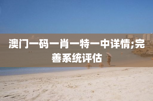 澳门一码一肖一特一中详情;完善系统评估