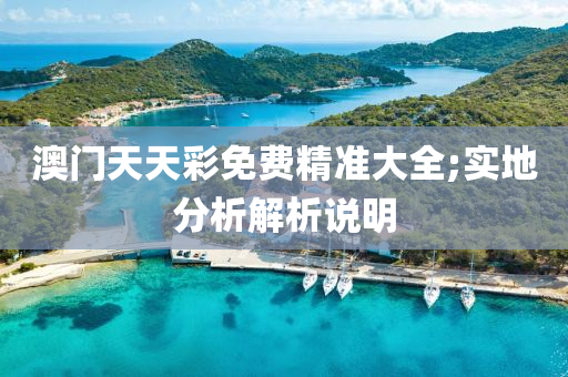澳门天天彩免费精准大全;实地分析解析说明