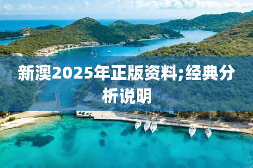 新澳2025年正版资料;经典分析说明