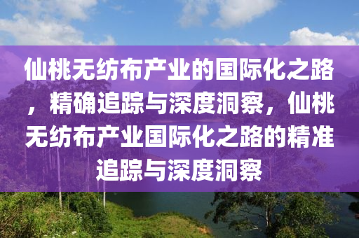仙桃无纺布产业的国际化之路，精确追踪与深度洞察，仙桃无纺布产业国际化之路的精准追踪与深度洞察
