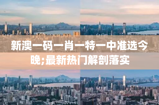 新澳一码一肖一特一中准选今晚;最新热门解剖落实