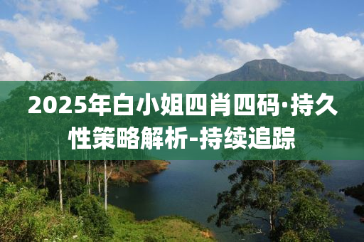 2025年白小姐四肖四码·持久性策略解析-持续追踪