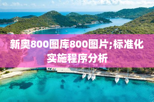 新奥800图库800图片;标准化实施程序分析