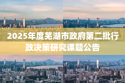 2025年度芜湖市政府第二批行政决策研究课题公告