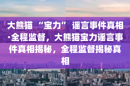 大熊猫 “宝力” 谣言事件真相·全程监督，大熊猫宝力谣言事件真相揭秘，全程监督揭秘真相