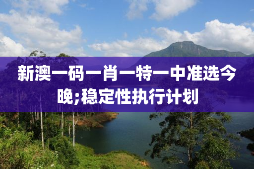 新澳一码一肖一特一中准选今晚;稳定性执行计划