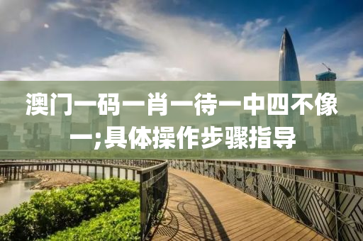 澳门一码一肖一待一中四不像一;具体操作步骤指导