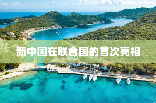 新中国在联合国的首次亮相
