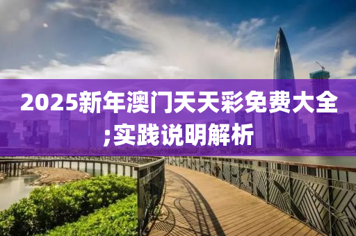 2025新年澳门天天彩免费大全;实践说明解析