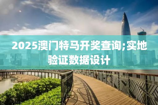 2025澳门特马开奖查询;实地验证数据设计