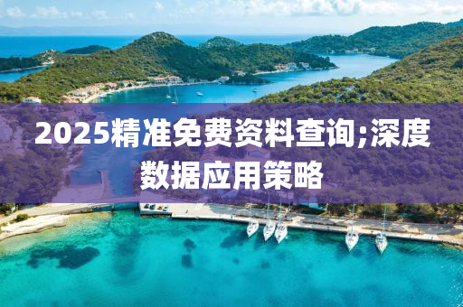 2025精准免费资料查询;深度数据应用策略