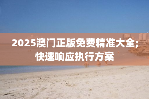 2025澳门正版免费精准大全;快速响应执行方案