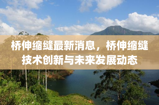 桥伸缩缝最新消息，桥伸缩缝技术创新与未来发展动态
