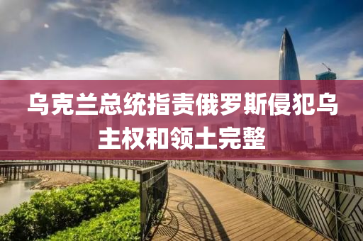 乌克兰总统指责俄罗斯侵犯乌主权和领土完整