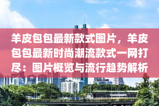 羊皮包包最新款式图片，羊皮包包最新时尚潮流款式一网打尽：图片概览与流行趋势解析