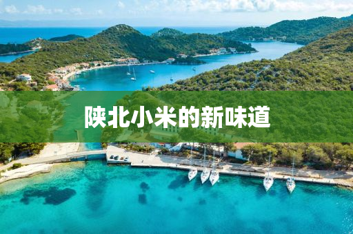 2025年3月4日 第26页