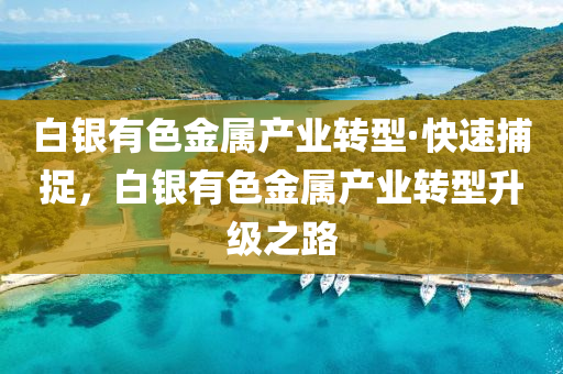 2025年3月4日 第17页