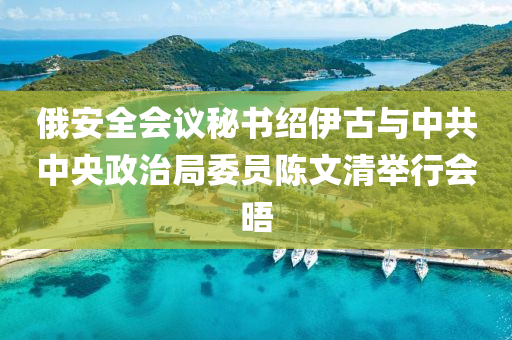 俄安全会议秘书绍伊古与中共中央政治局委员陈文清举行会晤