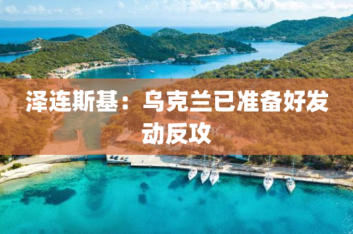 泽连斯基：乌克兰已准备好发动反攻