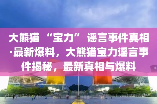 大熊猫 “宝力” 谣言事件真相·最新爆料，大熊猫宝力谣言事件揭秘，最新真相与爆料