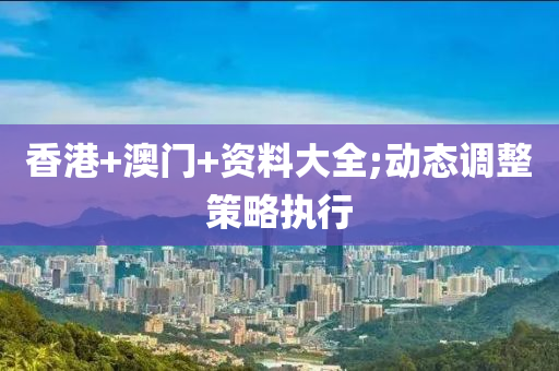 香港+澳门+资料大全;动态调整策略执行