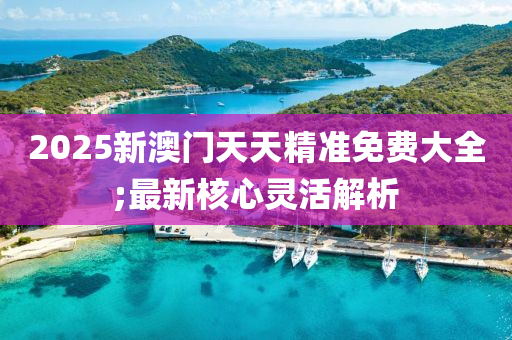 2025新澳门天天精准免费大全;最新核心灵活解析
