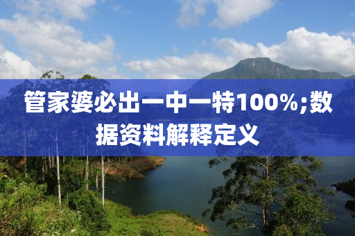管家婆必出一中一特100%;数据资料解释定义