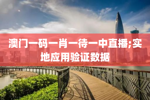 澳门一码一肖一待一中直播;实地应用验证数据