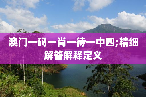 澳门一码一肖一待一中四;精细解答解释定义