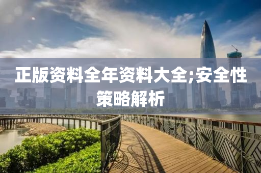正版资料全年资料大全;安全性策略解析