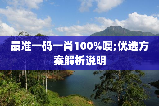 最准一码一肖100%噢;优选方案解析说明