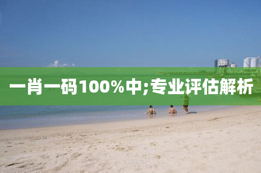 一肖一码100%中;专业评估解析