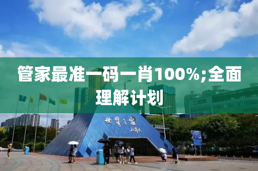 管家最准一码一肖100%;全面理解计划