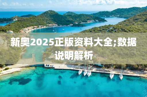 新奥2025正版资料大全;数据说明解析