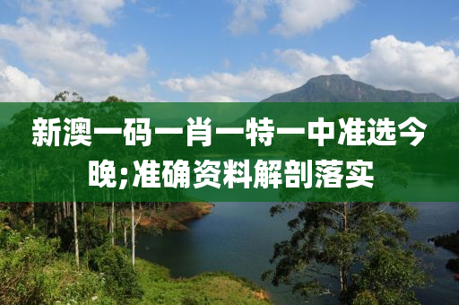 新澳一码一肖一特一中准选今晚;准确资料解剖落实
