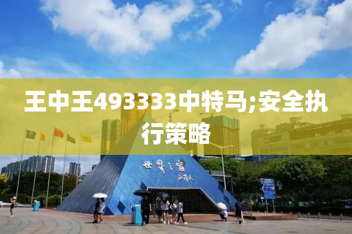 王中王493333中特马;安全执行策略