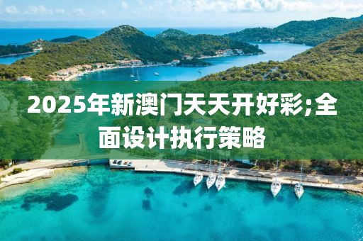 2025年新澳门天天开好彩;全面设计执行策略