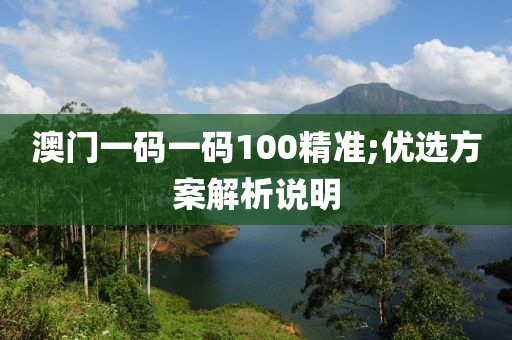 澳门一码一码100精准;优选方案解析说明
