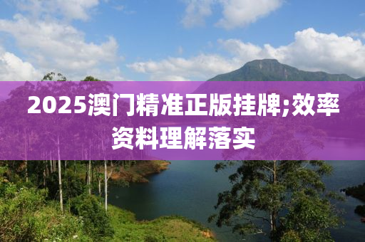 2025澳门精准正版挂牌;效率资料理解落实