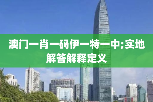 澳门一肖一码伊一特一中;实地解答解释定义