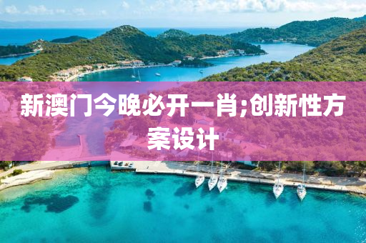 新澳门今晚必开一肖;创新性方案设计
