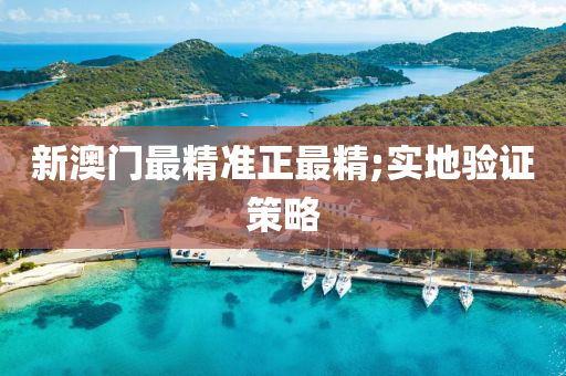 新澳门最精准正最精;实地验证策略