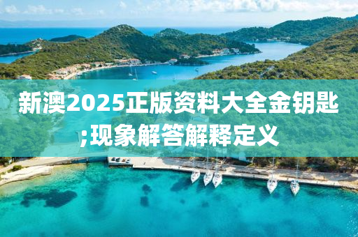 新澳2025正版资料大全金钥匙;现象解答解释定义