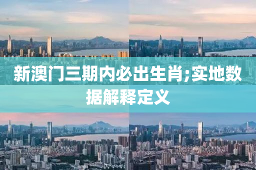 新澳门三期内必出生肖;实地数据解释定义