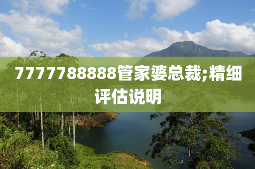 7777788888管家婆总裁;精细评估说明