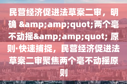 民营经济促进法草案二审，明确 &amp;quot;两个毫不动摇&amp;quot; 原则·快速捕捉，民营经济促进法草案二审聚焦两个毫不动摇原则