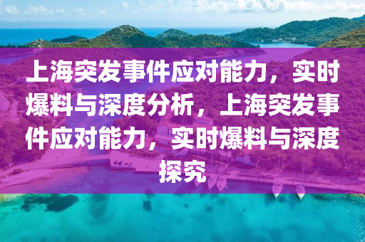 上海突发事件应对能力，实时爆料与深度分析，上海突发事件应对能力，实时爆料与深度探究