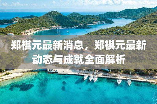 郑祺元最新消息，郑祺元最新动态与成就全面解析